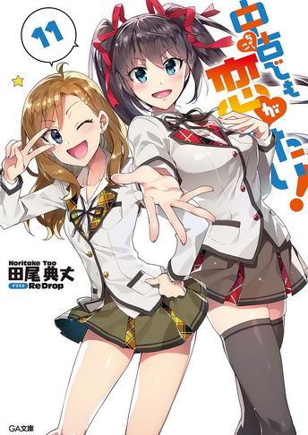 Chuuko demo Koi ga Shitai Novela Ligera Volumen 11