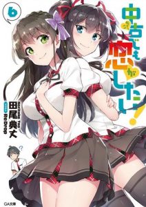 Chuuko demo Koi ga Shitai Novela Ligera Volumen 6